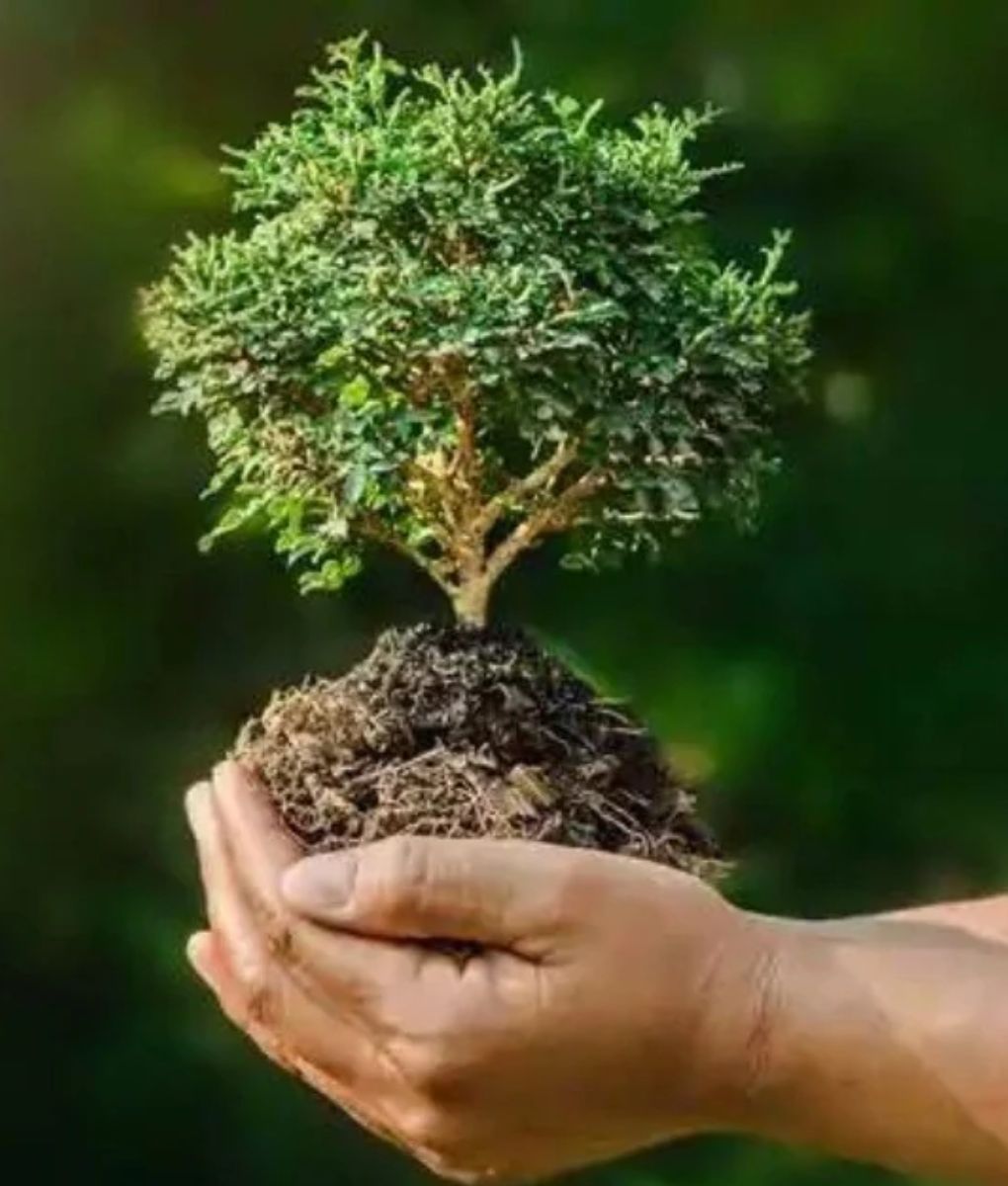 The role of ‘governance’ in measuring sustainability performance
