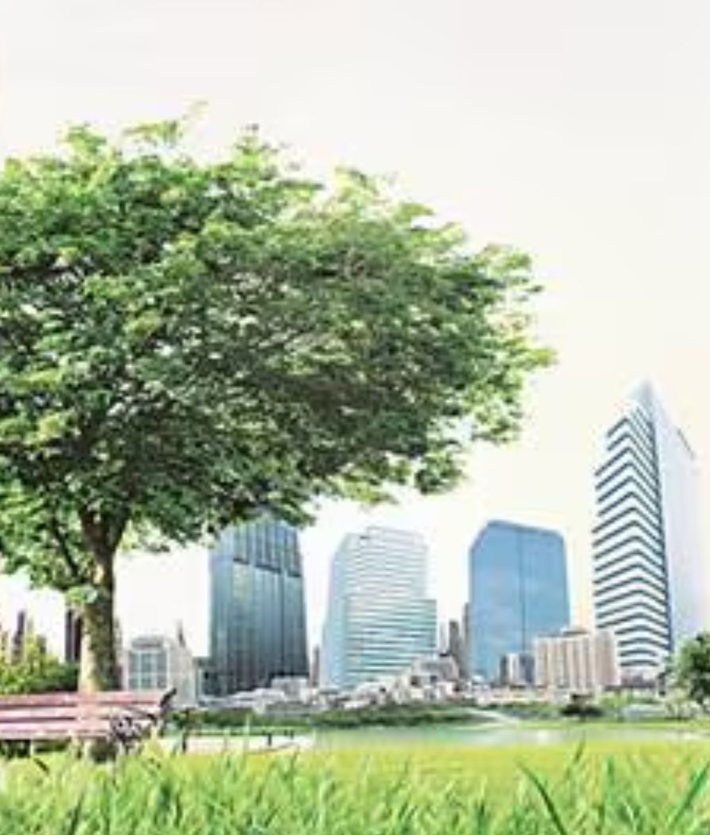 The purpose of sustainability reporting regulations