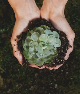 Sustainability is now a central driver of business performance. Investors, regulators, and stakeholders around the world are demanding more transparency and accountability. F