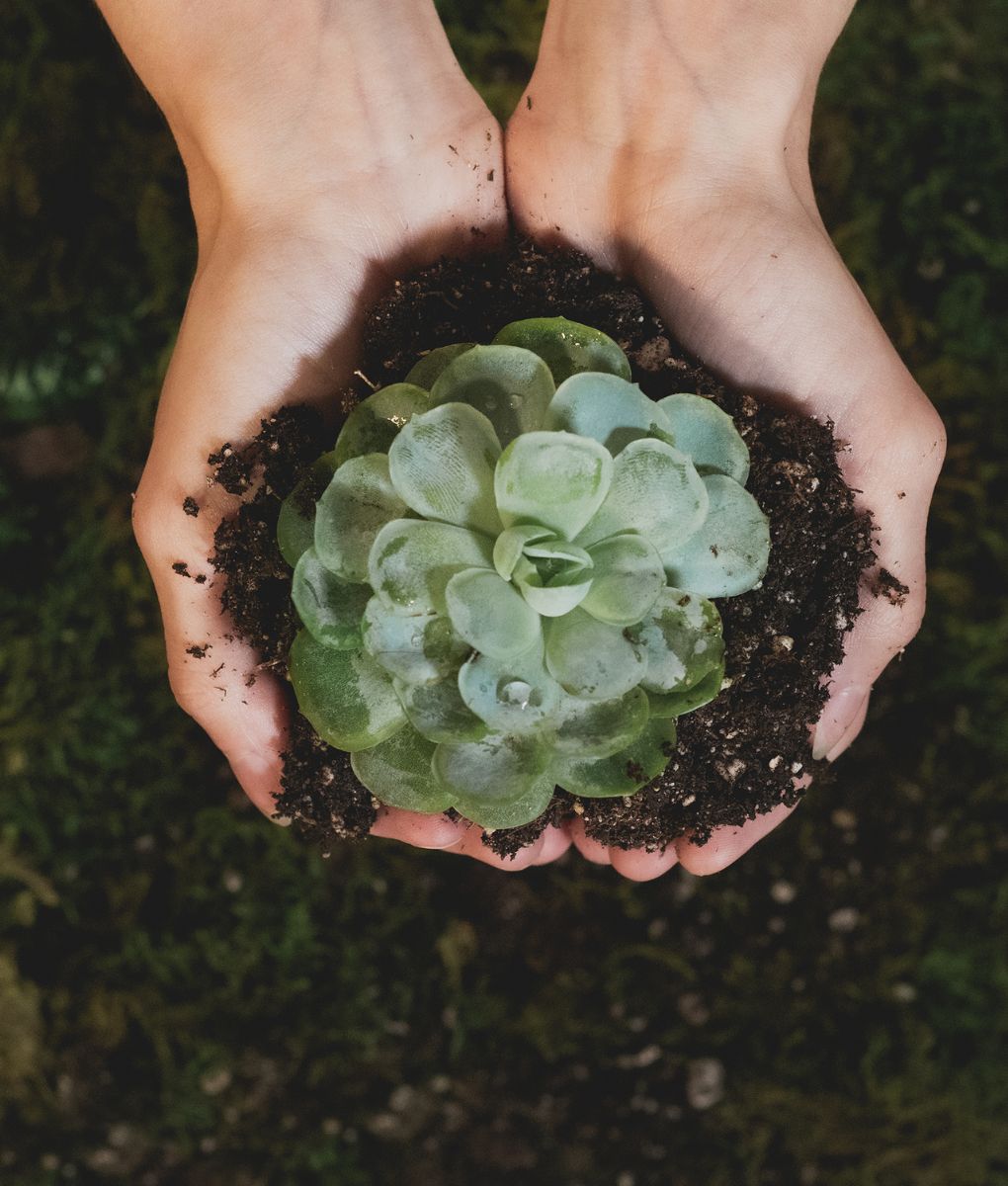 Sustainability is now a central driver of business performance. Investors, regulators, and stakeholders around the world are demanding more transparency and accountability. F