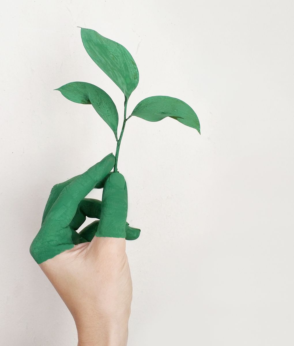 Gain a strong introduction to sustainability and ESG, including understanding key global risks, opportunities, and megatrends shaping the business landscape.