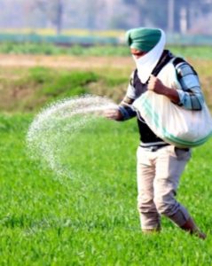agriculture