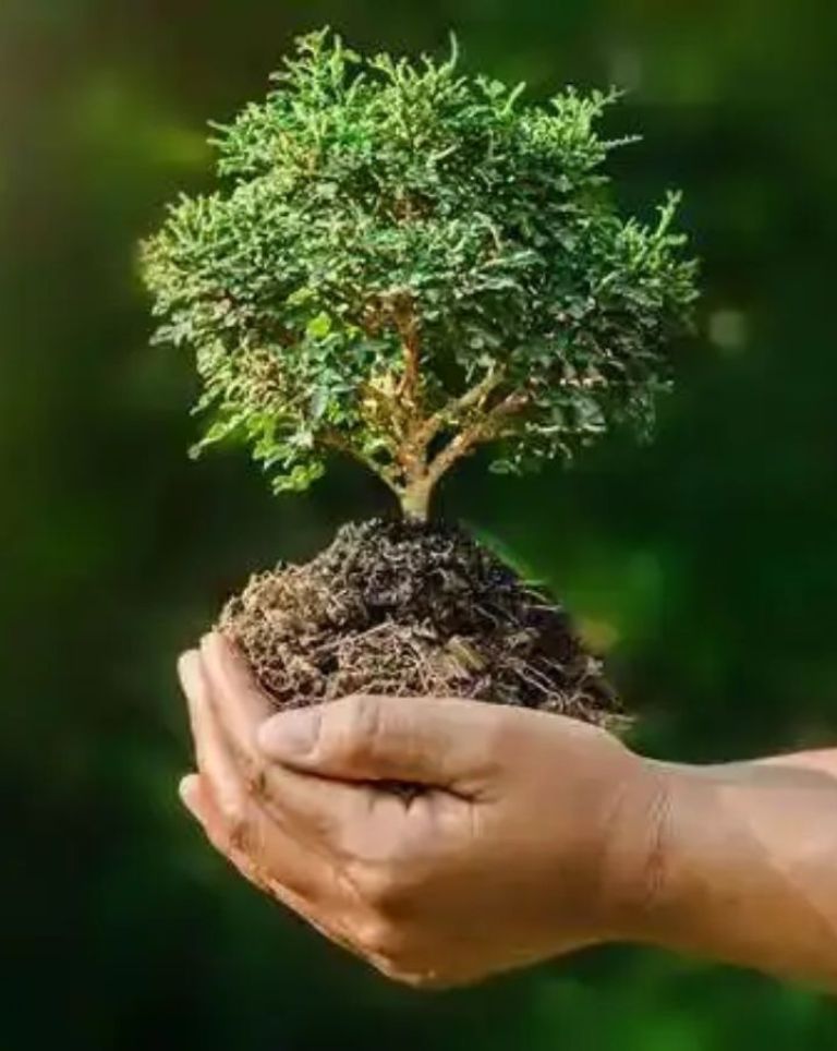environment